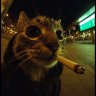 Rojo 🇵🇸's profile picture