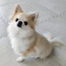 はるお's profile picture