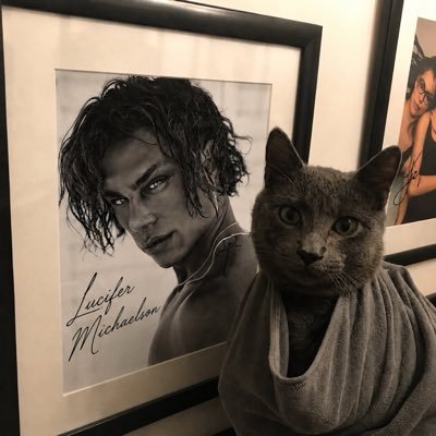 luffybll's profile picture