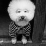 cab's profile picture