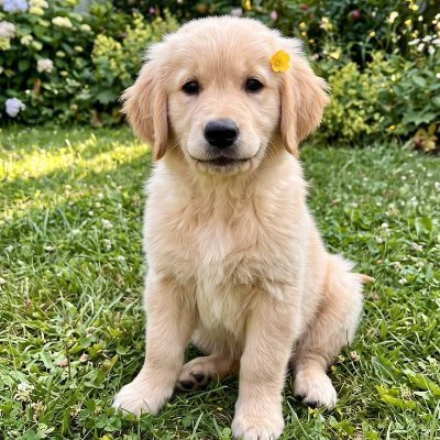 ONCrazy moments's profile picture