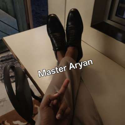 ProDomAryan's profile picture