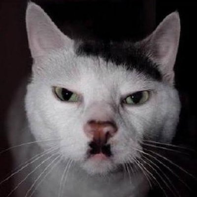 Tracking_Live's profile picture