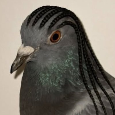 bigfacebritt's profile picture