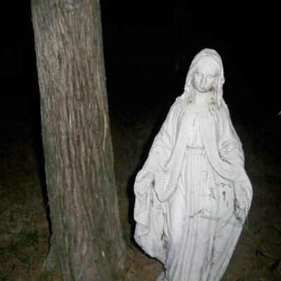 tom_nuke1's profile picture