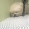 25さい 的头像