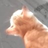Công chúa kawaii~ profil fotoğrafı