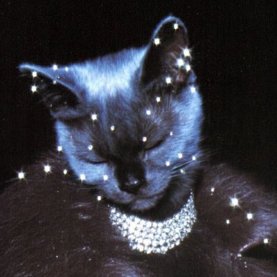 ݁ ˖Ი𐑼⋆ 𝘫𝘬 𝘥𝘢𝘺 ✨'s profile picture