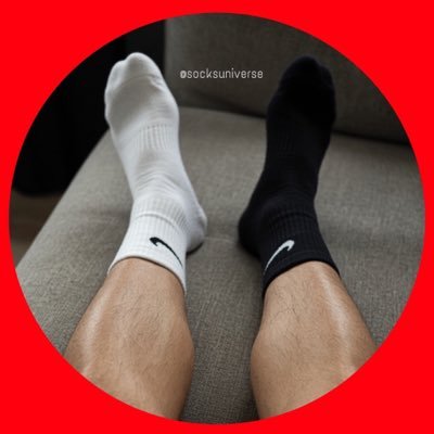 socksuniverse's profile picture