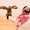 بندر أبو سلمان الشمري profil fotoğrafı