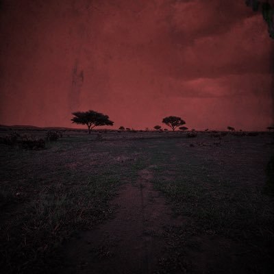 ml150_'s profile picture