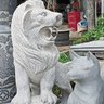 Фото профиля tô vũ