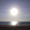 Delphine Galle's profile picture