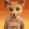 𝐓𝐇𝐄𝐂𝐔𝐏𝐎𝐅𝐍𝐎's profile picture