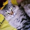 Patty🖤❤️ profil fotoğrafı