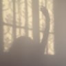 Ebtisam's profile picture