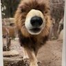 ナインちゃん〜 profil fotoğrafı