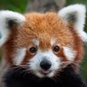 Spadsou's profile picture