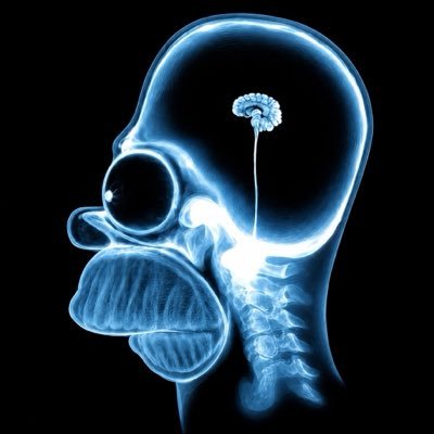 Ordinals's profile picture