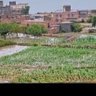 Фото профиля صالح حويدر