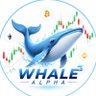 Whale Alpha's profile picture