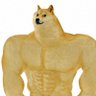 Фото профиля ナウナ犬