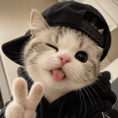 pawroot's profile picture