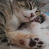 Clare profil fotoğrafı