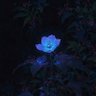 𝔰𝔥𝔳𝔫𝔭𝔬 🌸's profile picture