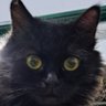 Profilbild von Djaya42