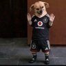 Profilbild von ntokozo🇿🇦