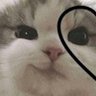 Profilbild von Abstragedy5757
