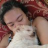 Фото профиля Thea Josue ⋆˚꩜。