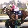 坊主競馬🏇 的头像