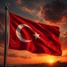 murat's profile picture