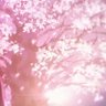 Profilbild von 𝓨𝓾𝓱𝓲 🎼🌸