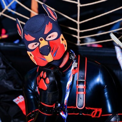 Bark69714341's profile picture