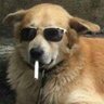 Profilbild von Jose Ysique