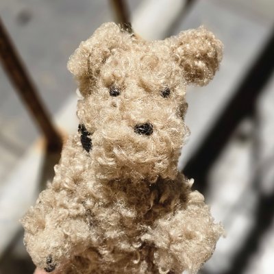 jindoldixon's profile picture