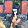 Profilbild von ur'buddy