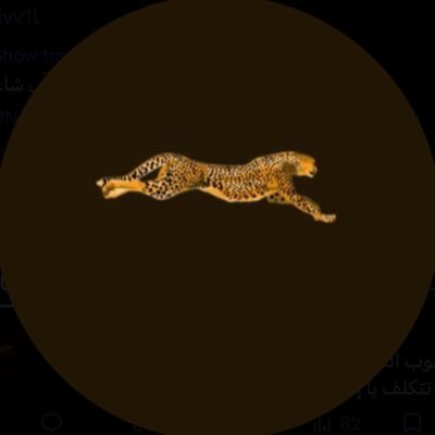 _iivv1l's profile picture