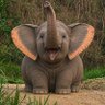 Фото профиля Raj Malhotra
