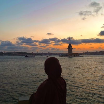 Nur 🦢 𐙚's profile picture