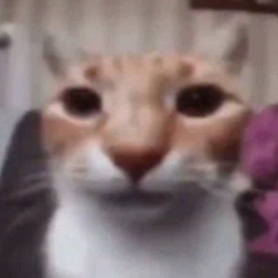 JoeCac18cm's profile picture