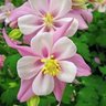 Фото профиля ThatOneLady