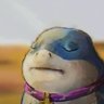 Profilbild von Dev