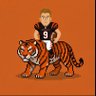 Bengals Backyard's profile picture