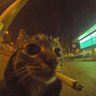 Темнота's profile picture