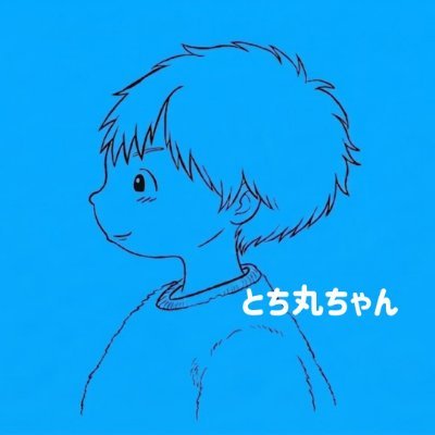 tochimarururu's profile picture