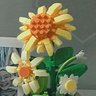 Фото профиля Aliaaaa🌼